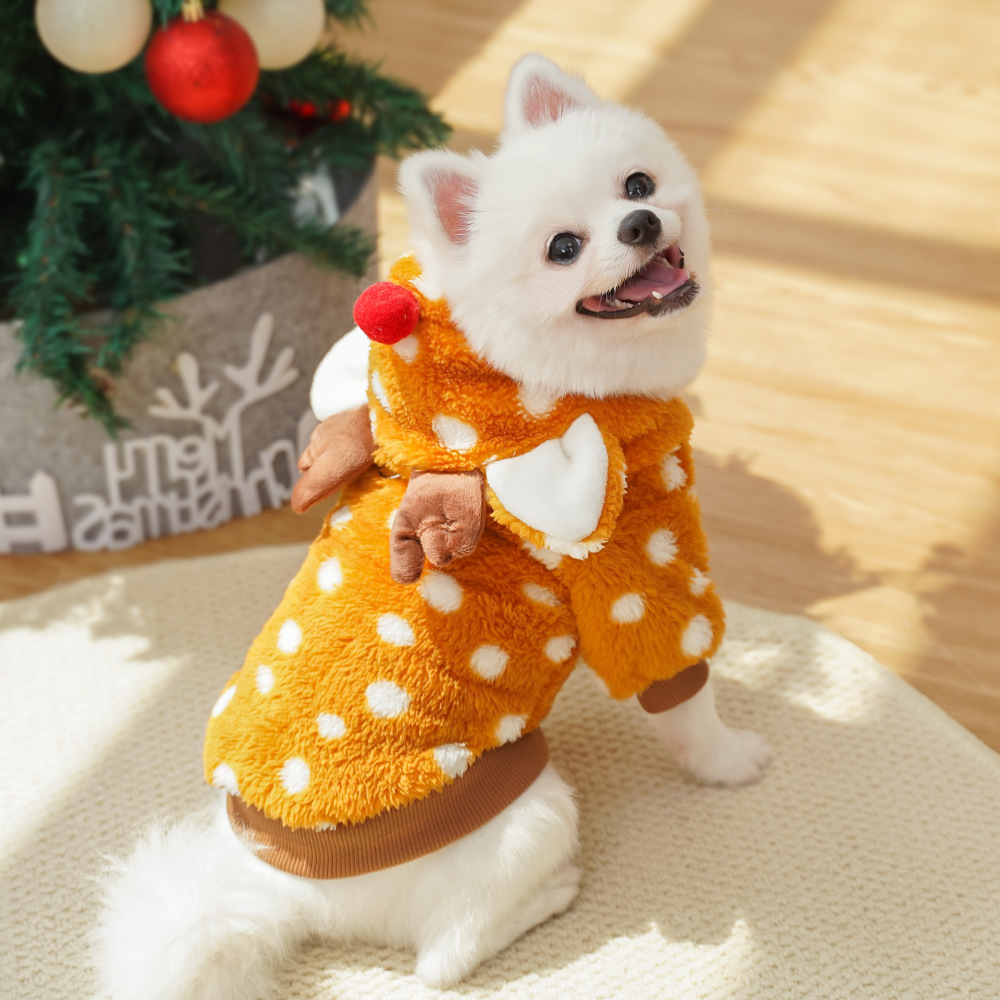 เสื้อผ้าสัตว์เลี้ยงรูปกวางเรนเ - Winter Clothing Must Haves บทวิจารณ์และราคา
