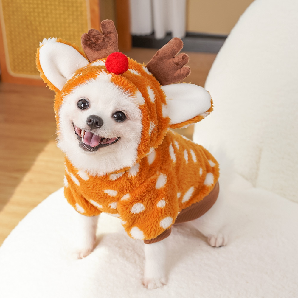 เสื้อผ้าสัตว์เลี้ยงรูปกวางเรนเ - Winter Clothing Must Haves บทวิจารณ์และราคา